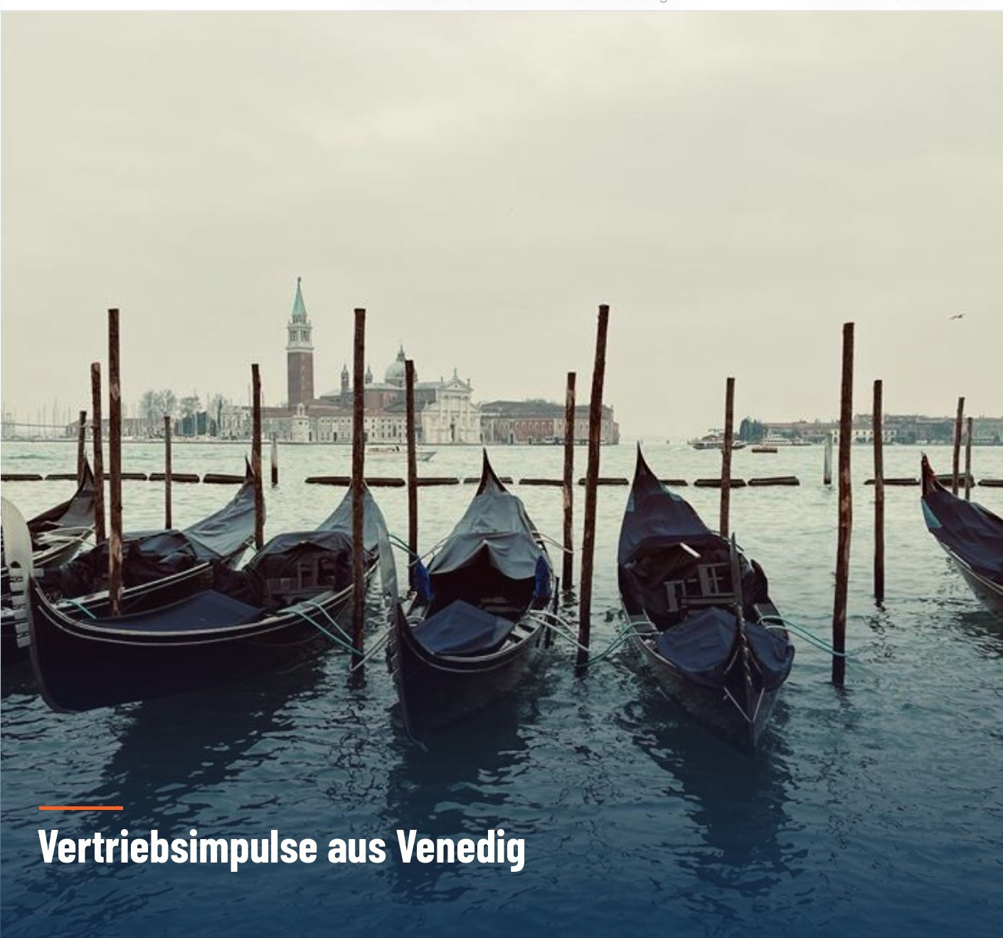 Der Gondoliere von Venedig